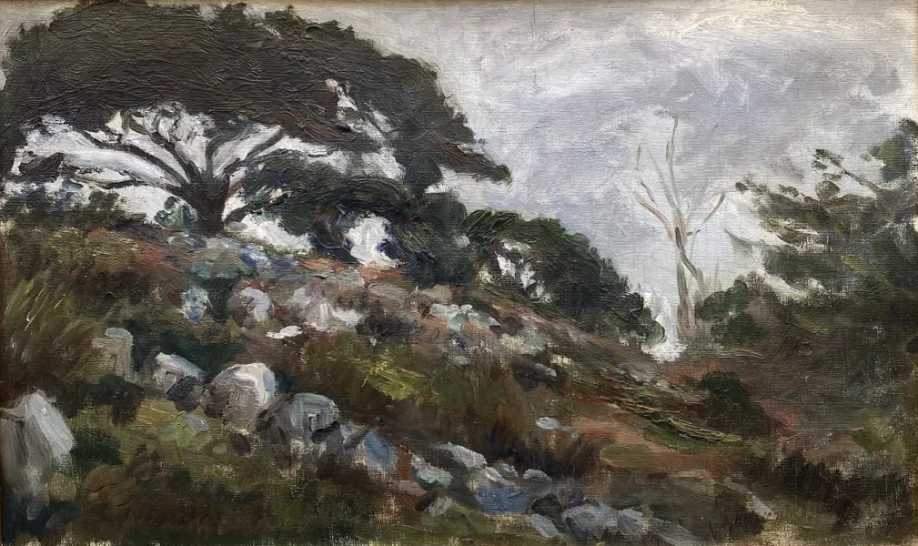Paysage rocheux et boisé 